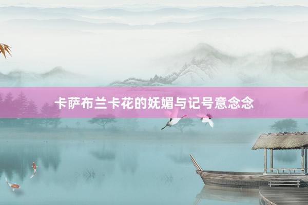 卡萨布兰卡花的妩媚与记号意念念