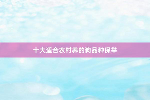 十大适合农村养的狗品种保举