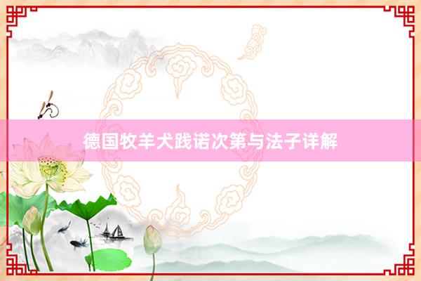 德国牧羊犬践诺次第与法子详解