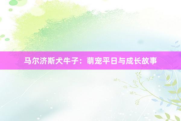 马尔济斯犬牛子：萌宠平日与成长故事