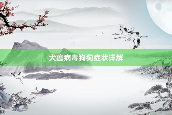 犬瘟病毒狗狗症状详解